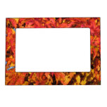 Fall colours