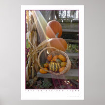 fall colours and light print