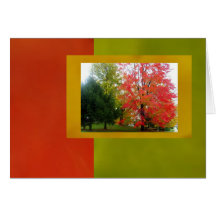 Fall Colours Closeup Card