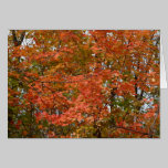Fall Colours cards