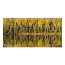Fall colours in Alaska Personalized Photo Card