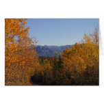 Fall Colours in the Mountains; No Text Greeting Cards