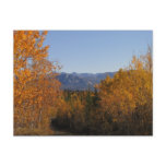 Fall Colours in the Mountains; No Text Postcard