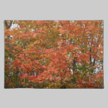 Fall Colours placemat placemats
