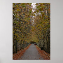 Fall colours posters