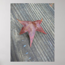 Fall Comes Posters