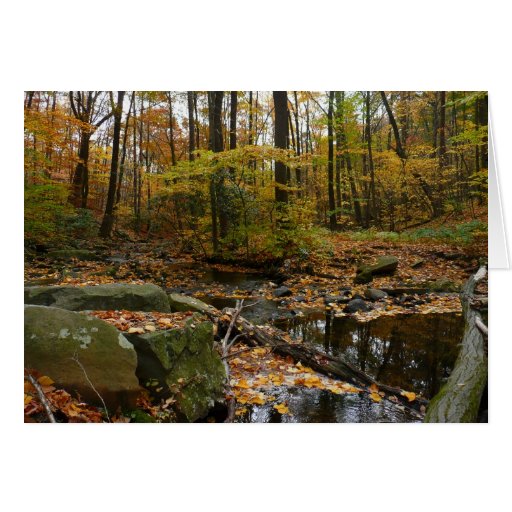 Fall Creek and Reflection Card (Blank Inside)