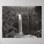 Fall Creek Falls posters