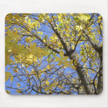 Fall Day Mouse Pads