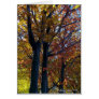 Fall Delicacy Greeting Cards
