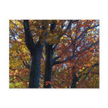 Fall Delicacy Post Cards