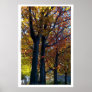 Fall Delicacy Print