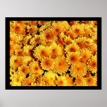 Fall Flowers Poster