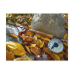 Fall Fly Fishing Rod Postcard