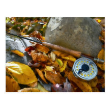 Fall Fly Fishing Rod Postcard