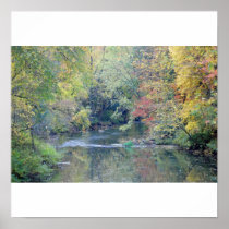 Fall Foilage 2 Print