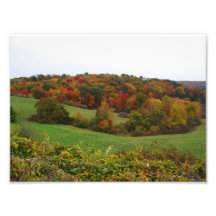 Fall Foilage in Southwestern PA Hills Photo Print