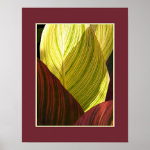 Fall Foliage Abstract Posters