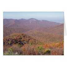 Fall foliage card