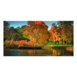 Fall Foliage Customized Photo Card