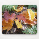 Fall Foliage Leaves Mousepad