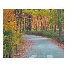 Fall Foliage Photo Art