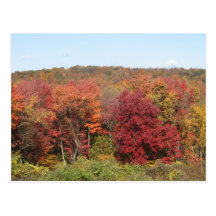 Fall Foliage Post Cards
