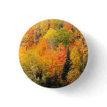 Fall Foliage Valley Buttons