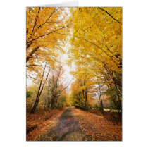 Fall Foliage Walking Path Cards
