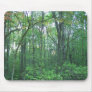 Fall Forestry Mouse Mats