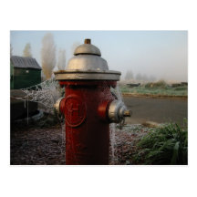 Fall Frost Post Card