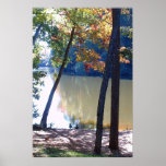 Fall Geese Poster