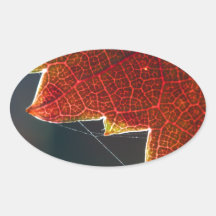 Fall Grape Leaf and Web Stickers
