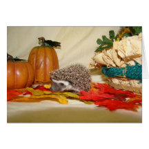 Fall hh greeting card