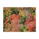 Fall Hillside Postcard