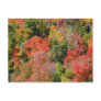 Fall Hillside Postcard