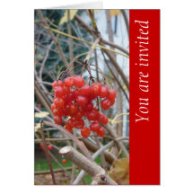 Fall Impressions 2010 - Greeting Card Karte