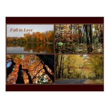 Fall In Love Wisconsin Postcard