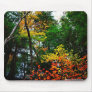Fall in New England-Mousepad
