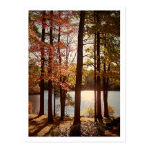 Fall in New England Postcard