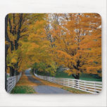Fall in New Hampshire Mouse Pads