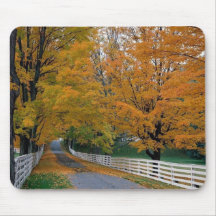 Fall in New Hampshire Mouse Pads