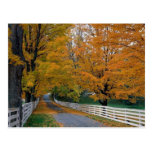 Fall in New Hampshire Postcard