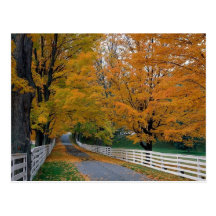 Fall in New Hampshire Postcard