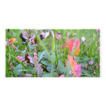 Fall in the Country Photo Greeting Card