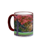 Fall in the Public Garden Coffee Mugs