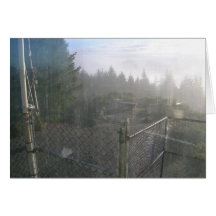 Fall, Lake of the Woods Fire Lookout Greeting Cards