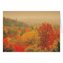 Fall landscape, New Hampshire, USA Greeting Card