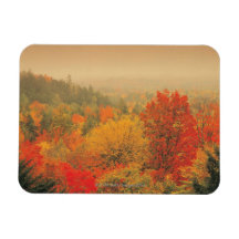 Fall landscape, New Hampshire, USA Rectangle Magnets
