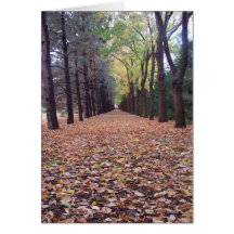 Fall lane card